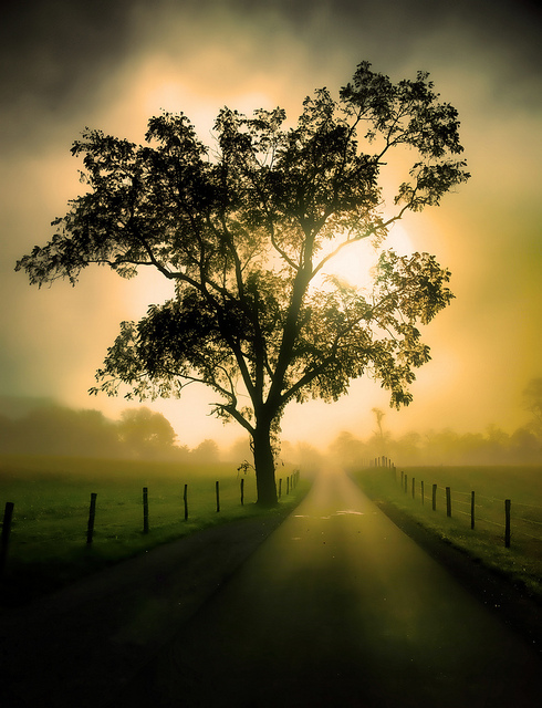 tumblr_la1z4jWO911qargfho1_500