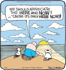 252c57dd8fe89203864c986d4cc55882